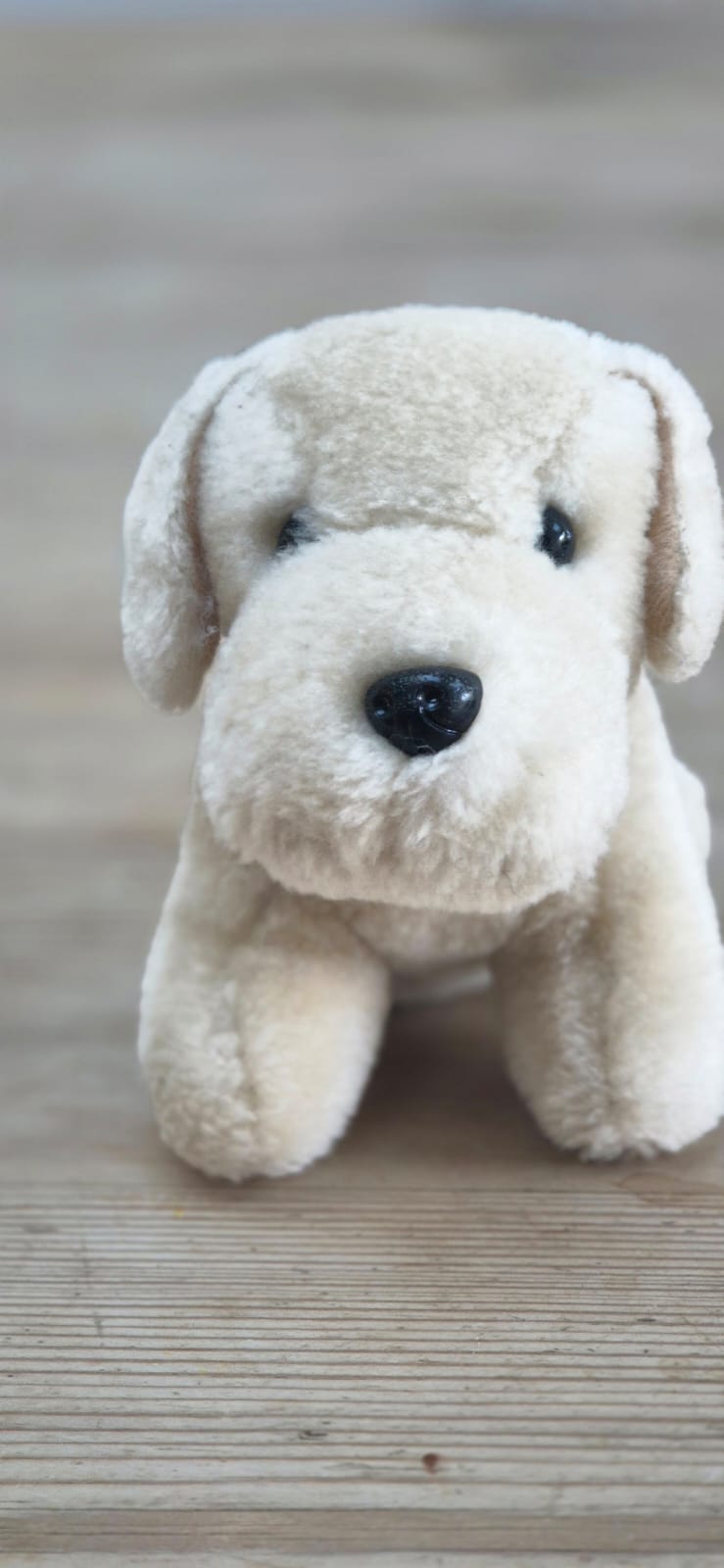 Peluche